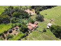 fazenda-de-100-alqueires-em-passos-mg-toda-formada-em-braquiaria-e-com-muita-agua-small-1